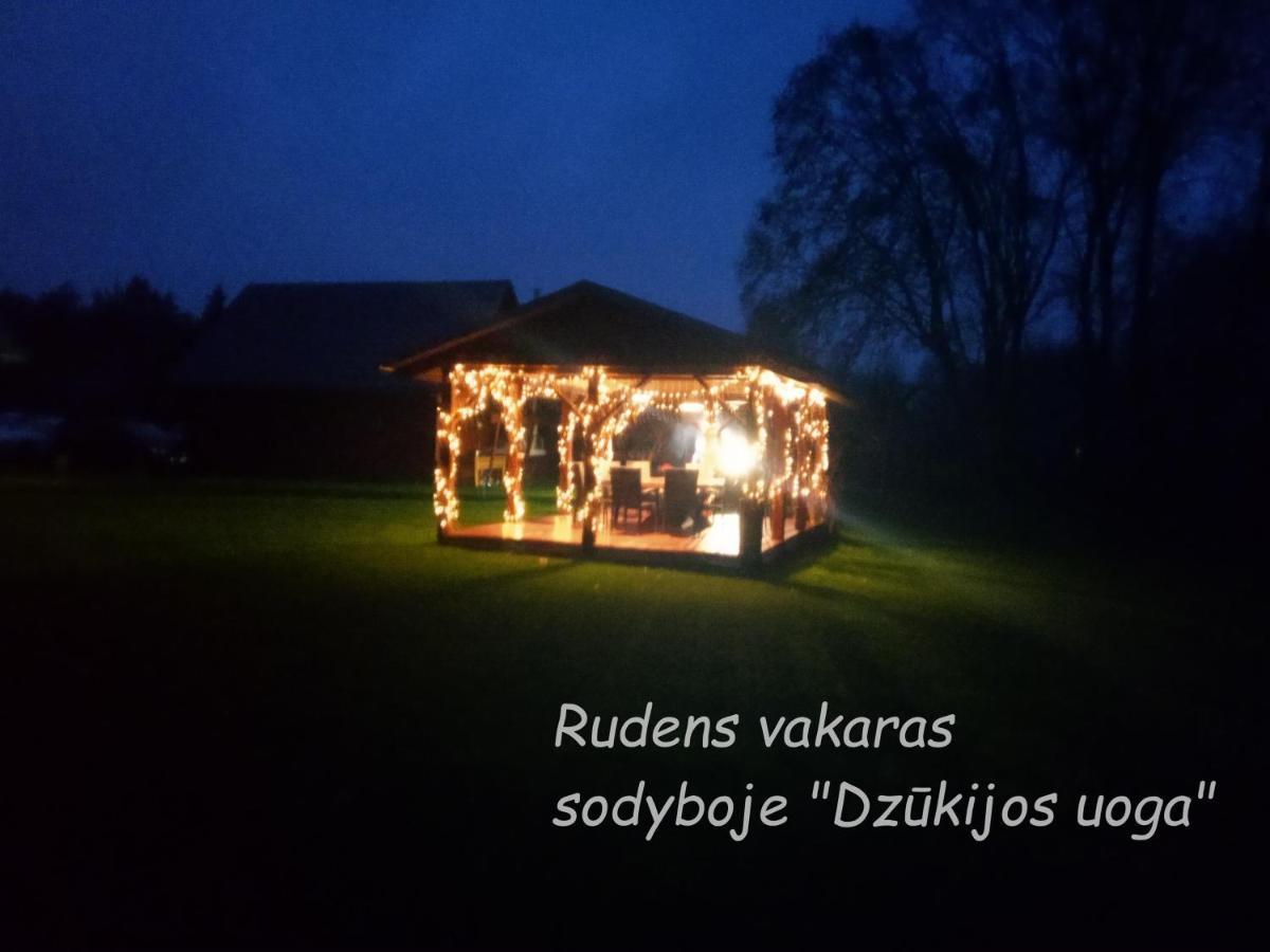 Dzukijos Uoga Pension Virsurodukis Buitenkant foto