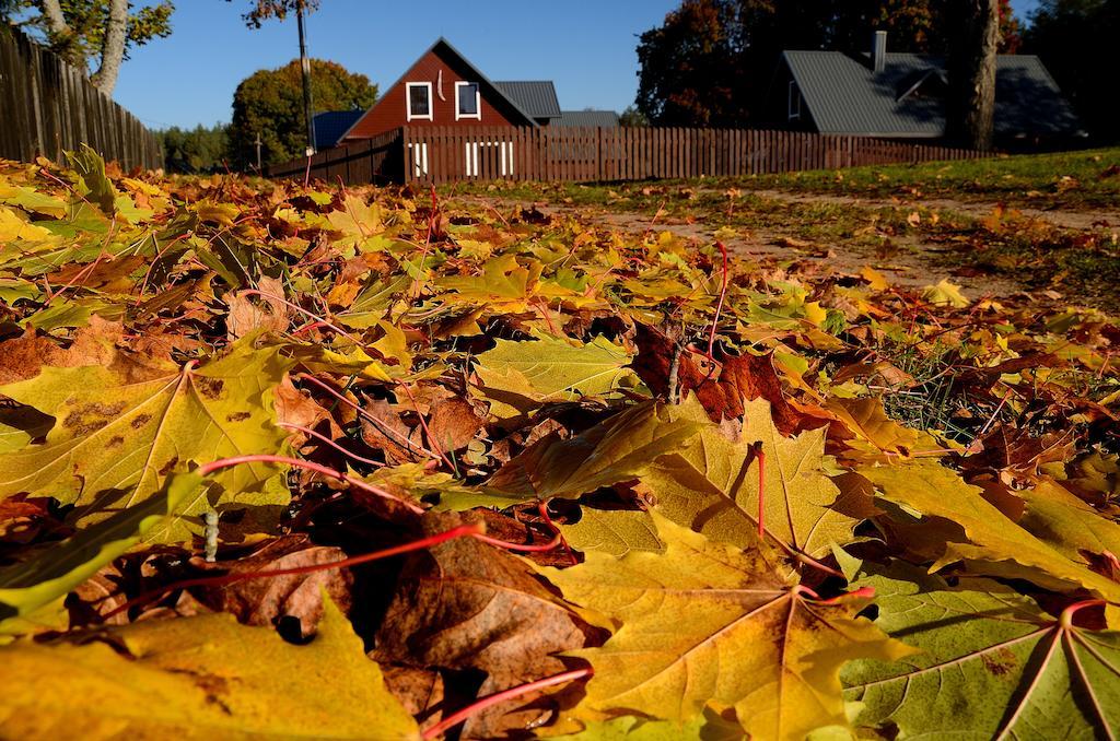 Dzukijos Uoga Pension Virsurodukis Kamer foto